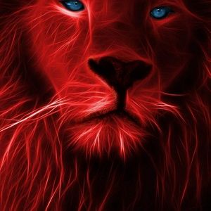 Meet your Posher, Donte